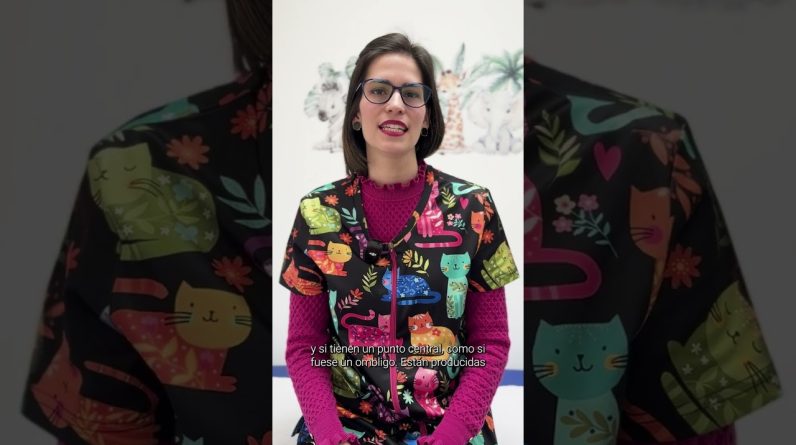 1769004892 maxresdefault