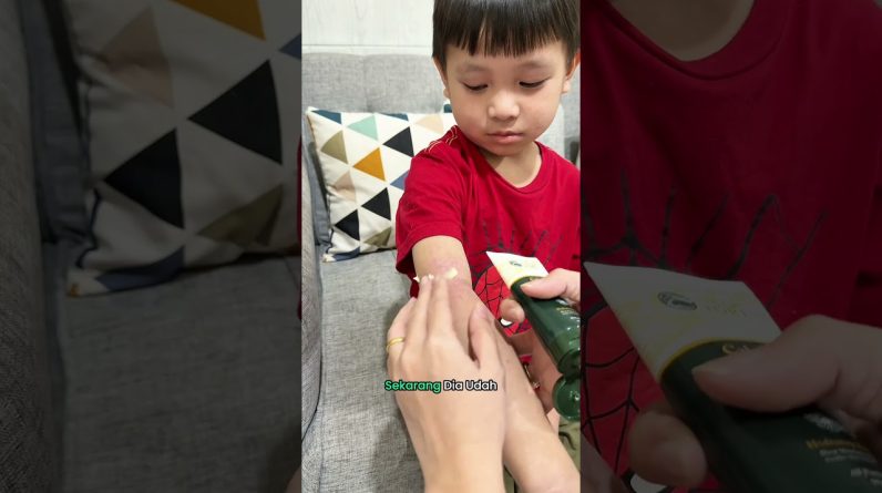 1769026912 maxresdefault