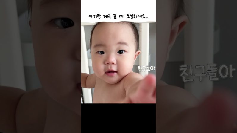 1769037948 maxresdefault