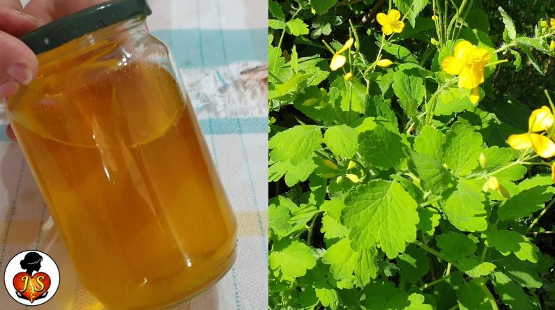 1769052591 maxresdefault