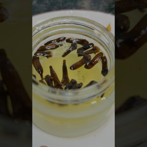 1769080917 maxresdefault