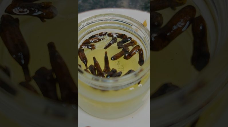 1769080917 maxresdefault