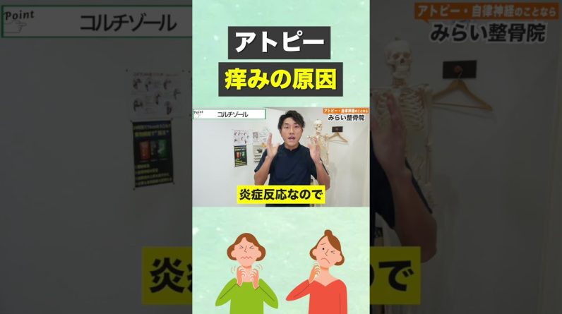 1769168807 maxresdefault