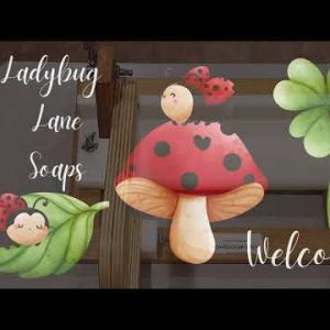 1769188485 hqdefault