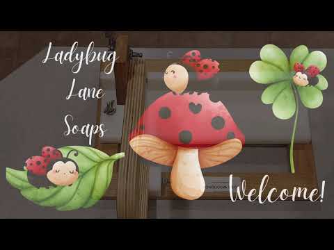 1769188485 hqdefault