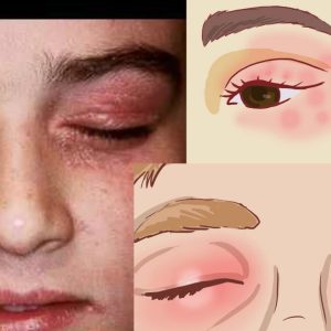 1769334226 maxresdefault