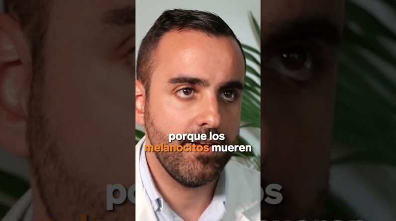 1769342323 maxresdefault