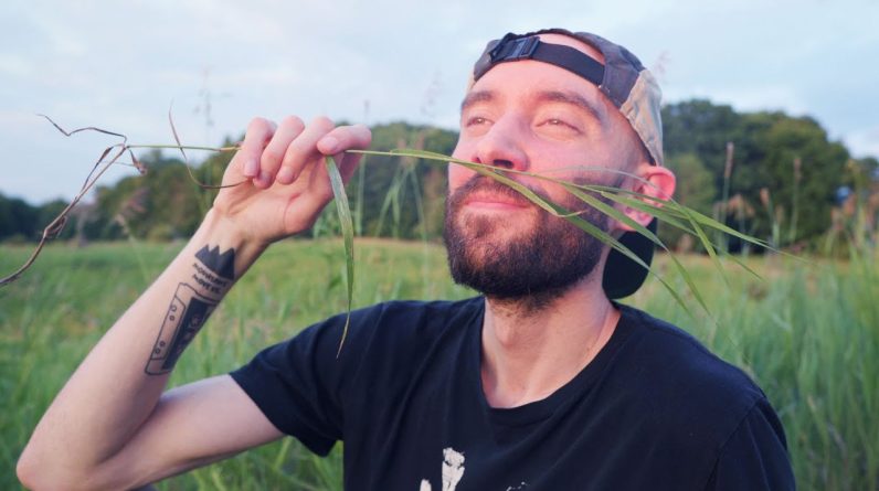 1769433383 maxresdefault