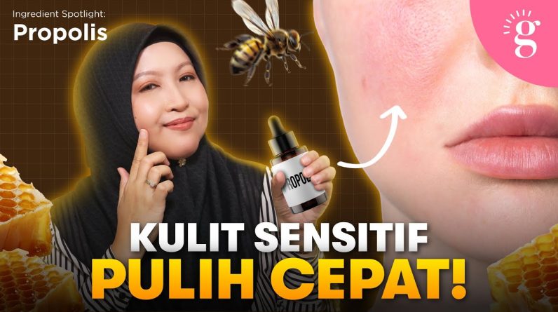 1769448021 maxresdefault