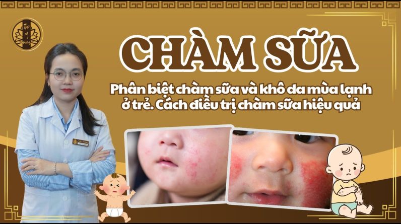 1769451017 maxresdefault