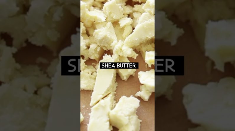 1769630144 maxresdefault