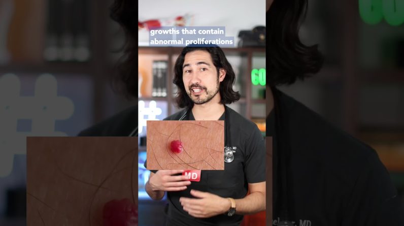 1769700525 maxresdefault