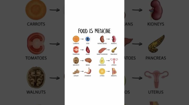 1769781123 maxresdefault