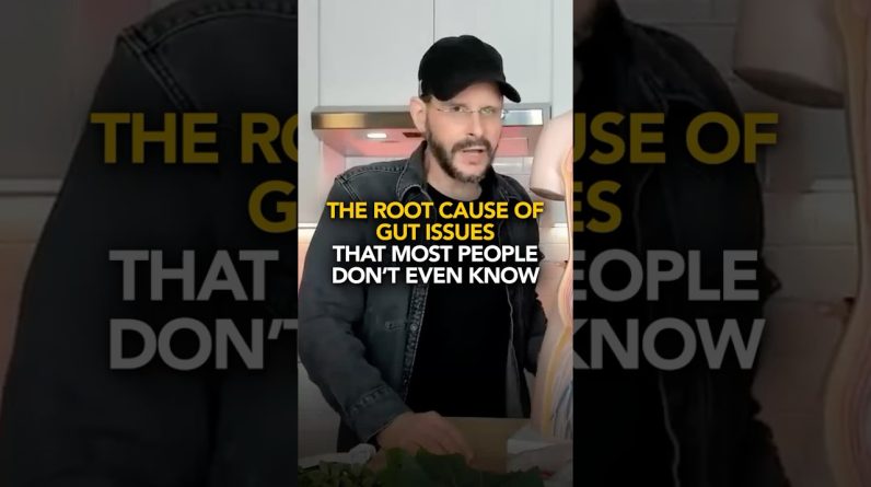 1769791594 maxresdefault