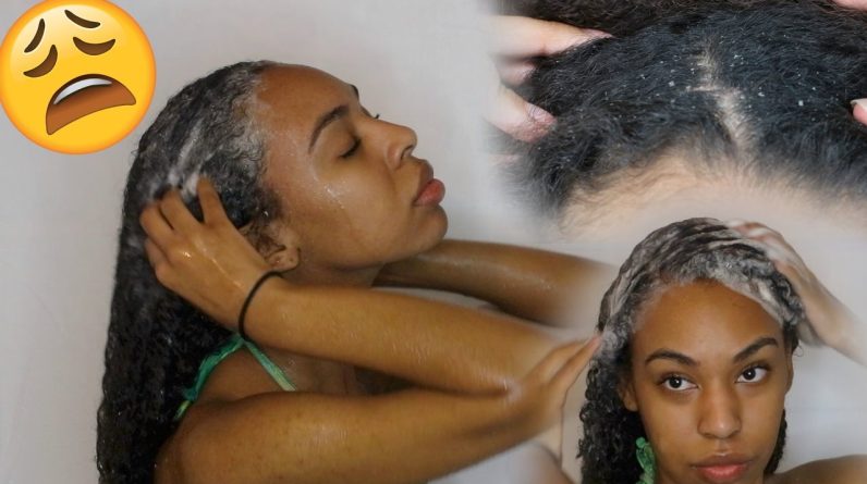 1769831933 maxresdefault