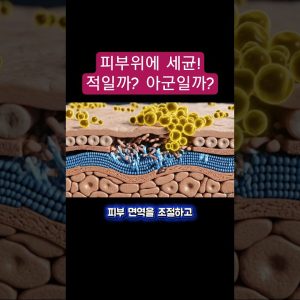 1769842905 maxresdefault