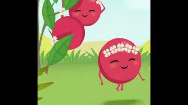 1769876623 hqdefault