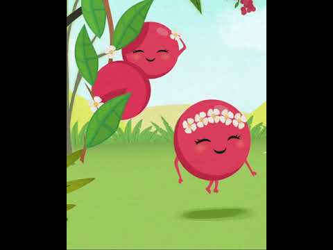 1769876623 hqdefault