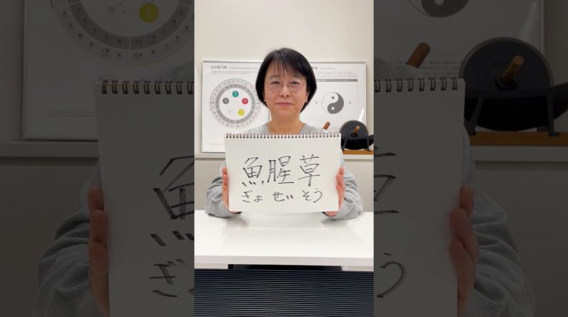 1769880045 maxresdefault