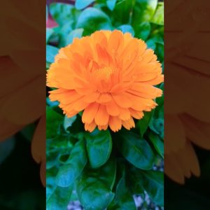 1769890544 maxresdefault