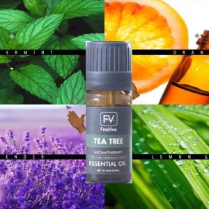 1769902410 maxresdefault