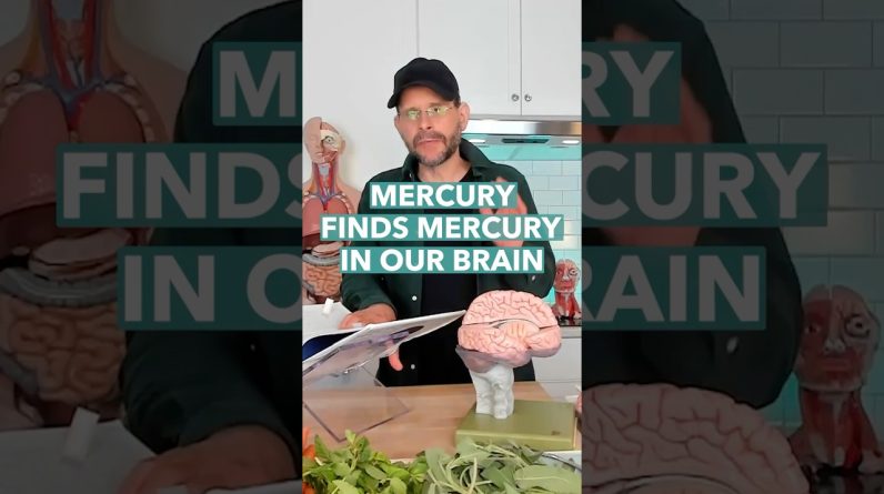 1769920725 maxresdefault