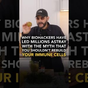 1769946363 maxresdefault