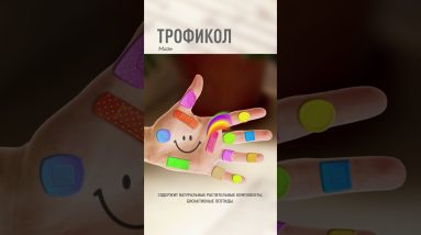 1770081418 maxresdefault