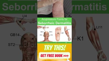 1770139912 maxresdefault