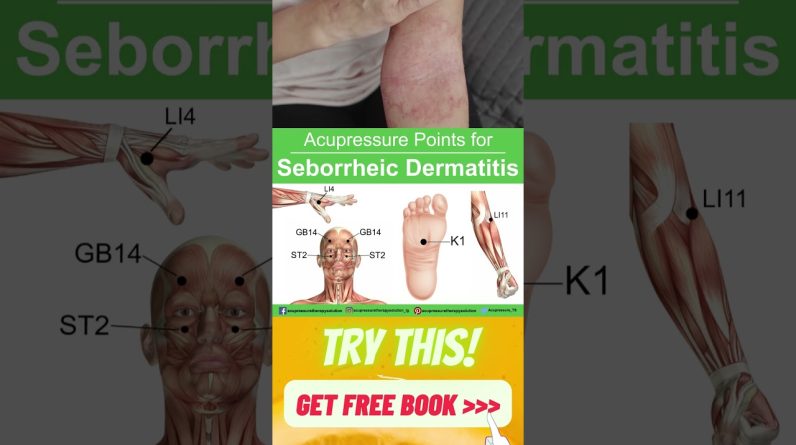 1770139912 maxresdefault