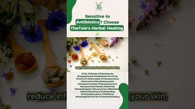 1770246174 maxresdefault