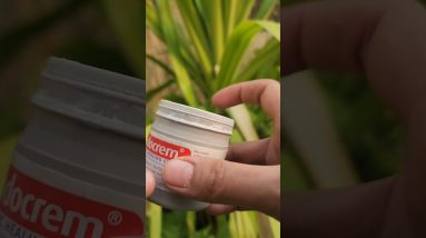 1770253491 maxresdefault