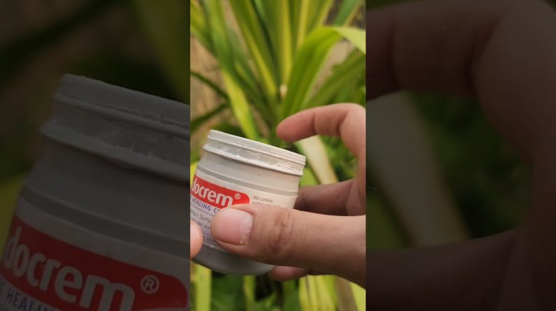 1770253491 maxresdefault