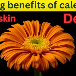 1770282764 maxresdefault