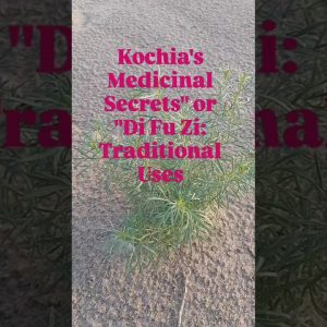 1770293750 maxresdefault