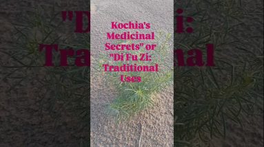 1770293750 maxresdefault