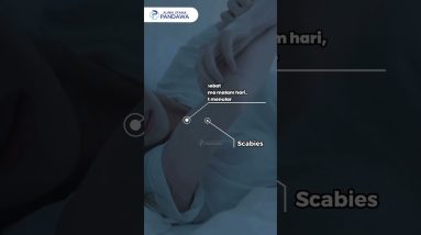 1770315835 maxresdefault