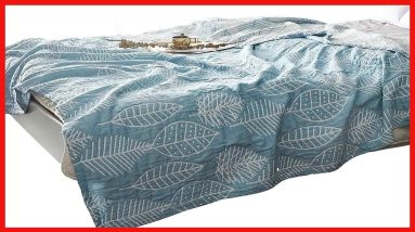 1770437572 maxresdefault