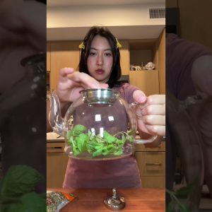 1770454439 maxresdefault