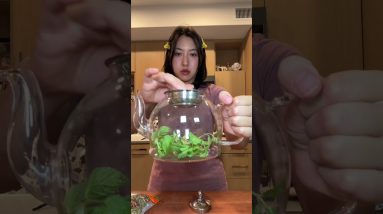 1770454439 maxresdefault