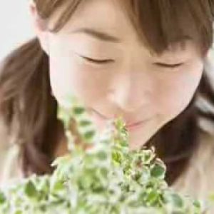 1770459239 hqdefault