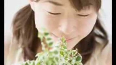 1770459239 hqdefault