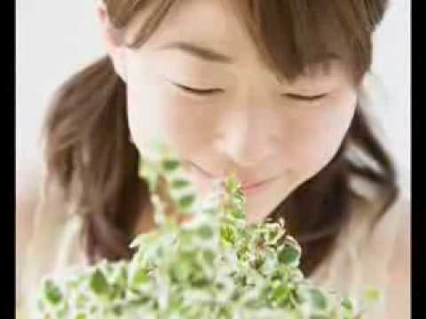 1770459239 hqdefault