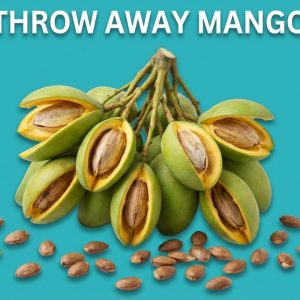 1770459519 maxresdefault