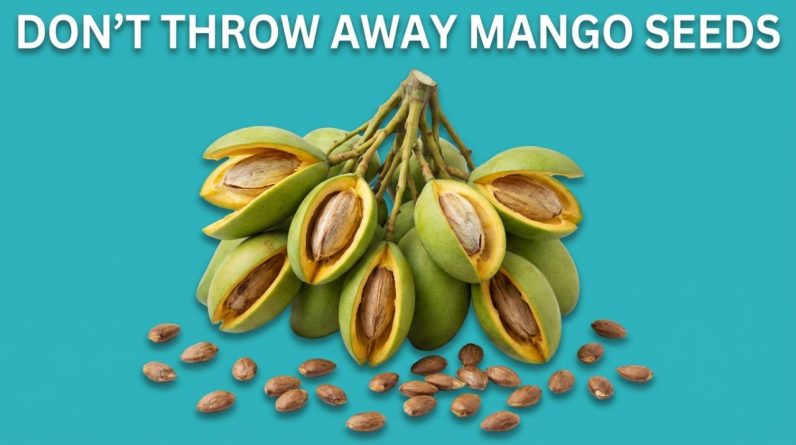 1770459519 maxresdefault