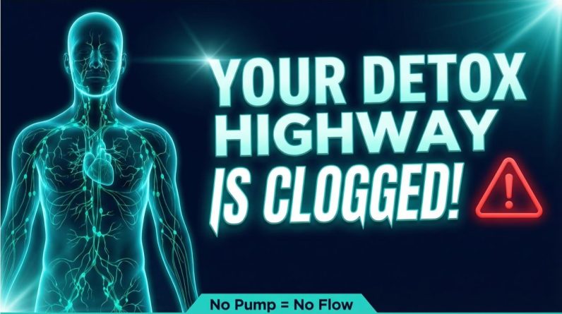 1770474227 maxresdefault