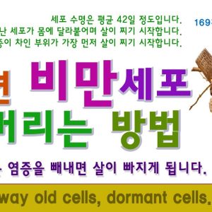 1770477904 maxresdefault