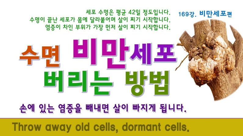 1770477904 maxresdefault