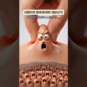 1770674358 maxresdefault