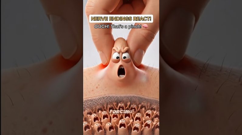 1770674358 maxresdefault